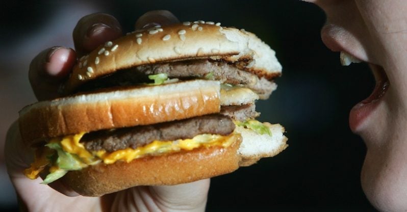 How Much Do You Know About Fast Food?